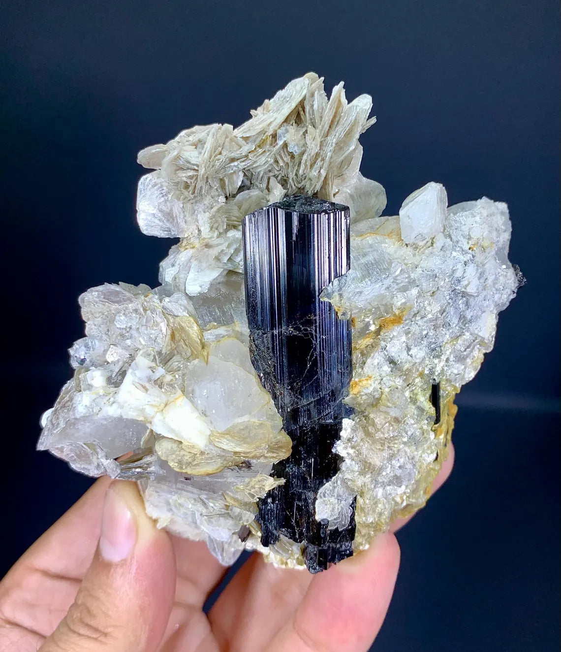 Schorl Black Tourmaline on Quartz and Mica from Pakistan - 243 grams