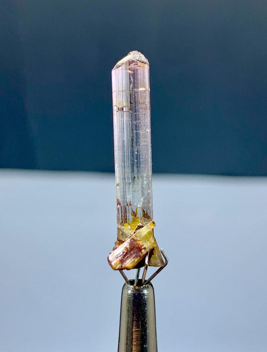 Gemmy Bicolor Tourmaline Crystal from Paprok Afghanistan - 8.50 carats