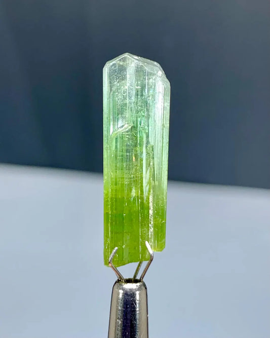 Tourmaline Crystal from Afghanistan - 13 carats
