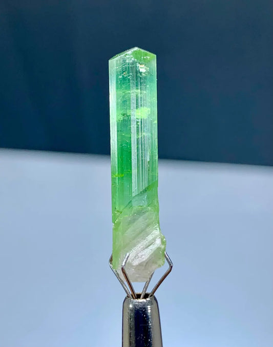 Green Tourmaline Crystal from Afghanistan - 10 carats