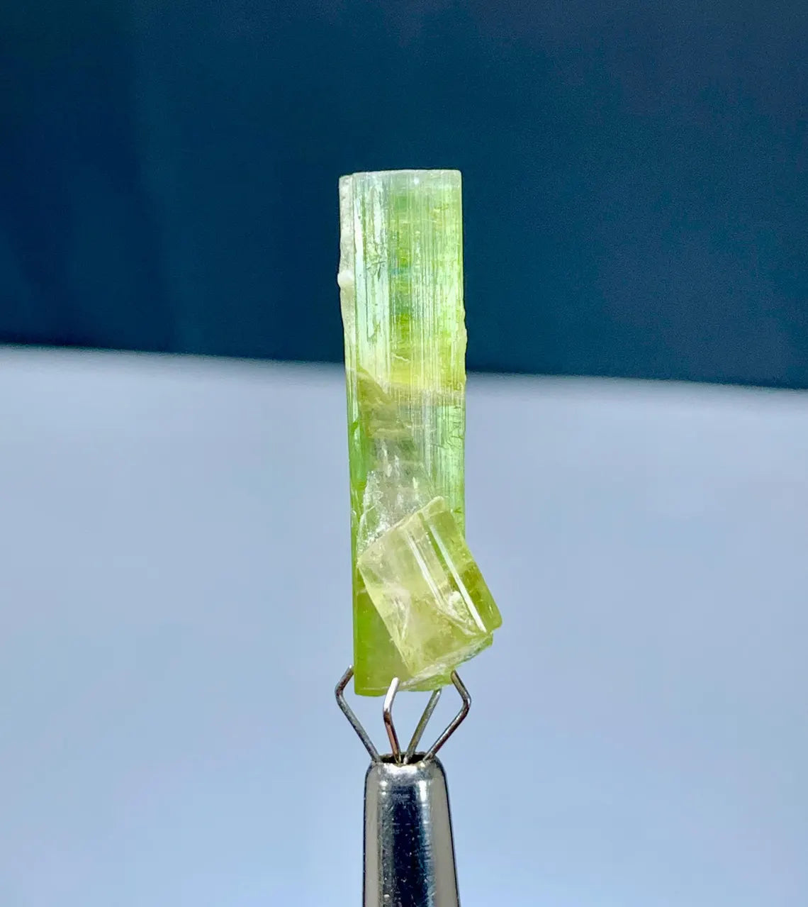 Tourmaline Crystal from Afghanistan - 10 carats
