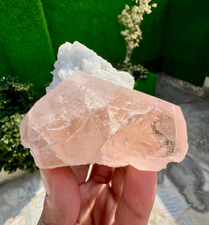 Pink Morganite on white Cleavelandite Albite from Dara e Pech Afghanistan - 211 grams
