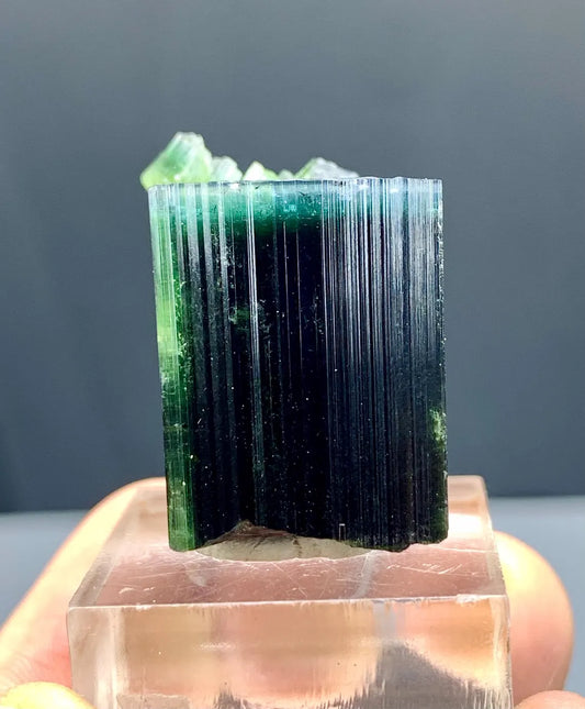 Blue Cap Tourmaline Crystal from Paprok Afghanistan - 22 grams