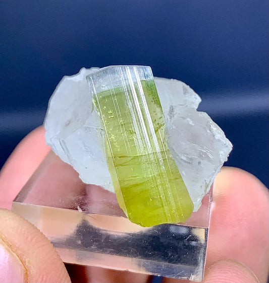 Tourmaline Crystal on Quartz – Paprok Afghanistan, 49 Carats