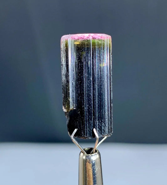 Pink Cap Bicolor Tourmaline Crystal from Afghanistan - 22.50 carats