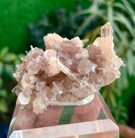 Orange Pink Tourmaline Cluster on (Pink) Lepidolite from Afghanistan - 52 grams