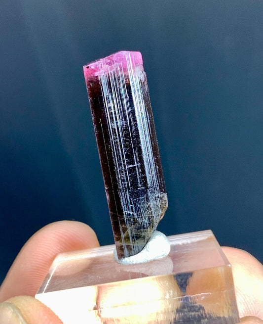 Pink Cap Bicolor Tourmaline Crystal from Afghanistan - 19.50 carats