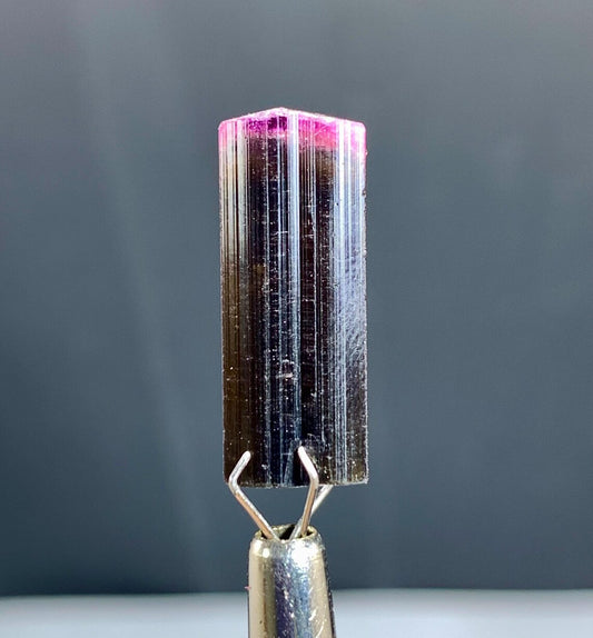 Pink Cap Bicolor Tourmaline Crystal from Afghanistan - 14.50 carats