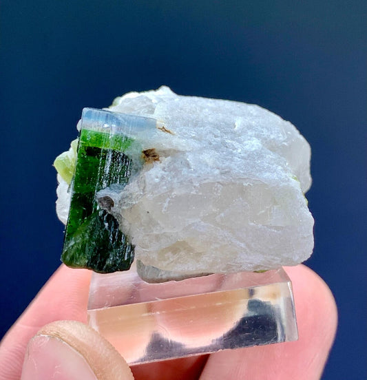 Blue Cap Tourmaline Crystal on Quartz from Paprok Afghanistan - 25 gram