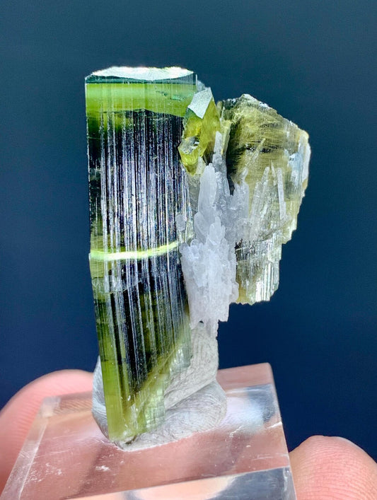 Bicolor Tourmaline Crystal from Astak Nala Mine Pakistan - 48.50 carat