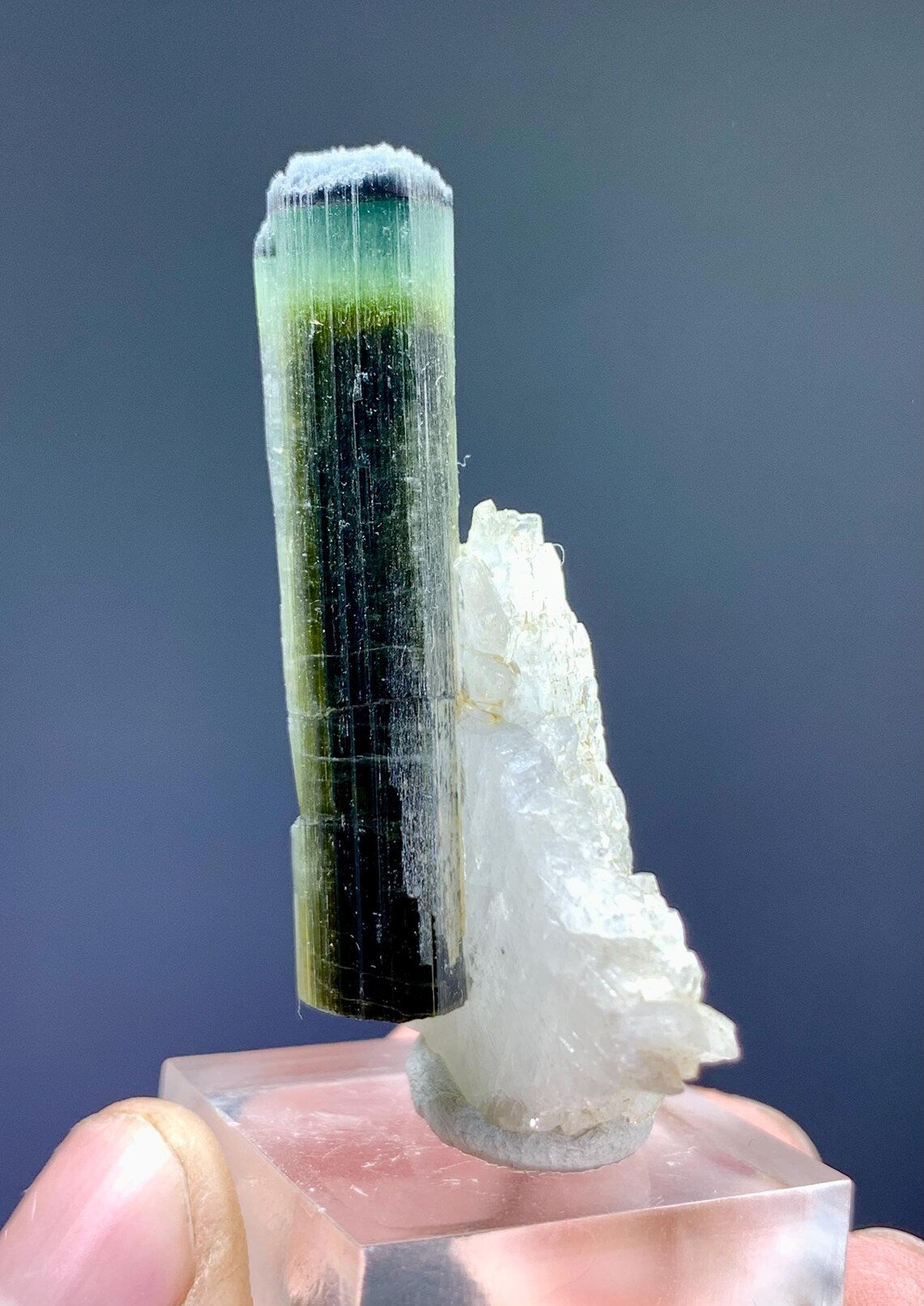 Tourmaline on Albite from Pakistan - 12 gram