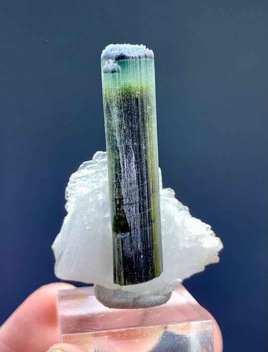 Tourmaline on Albite from Pakistan - 12 gram