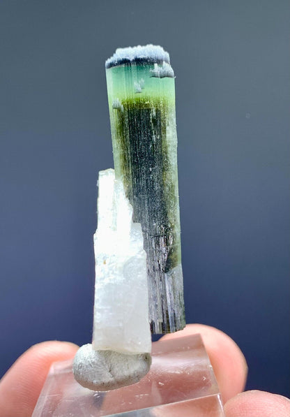 Tourmaline on Albite from Pakistan - 12 gram