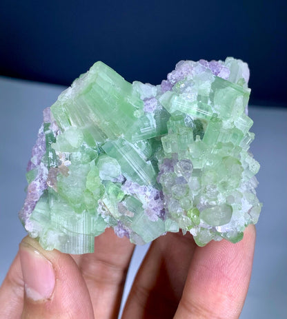 Bicolor Tourmaline Cluster on Lepidolite from Afghanistan - 116 gram