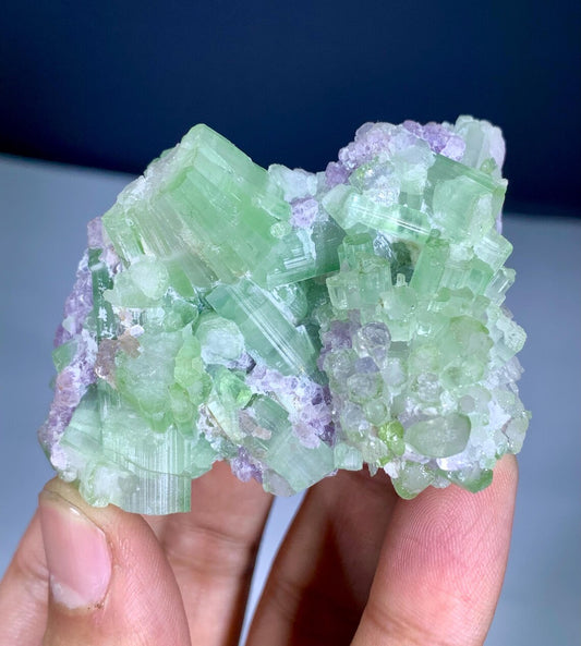 Bicolor Tourmaline Cluster on Lepidolite from Afghanistan - 116 gram