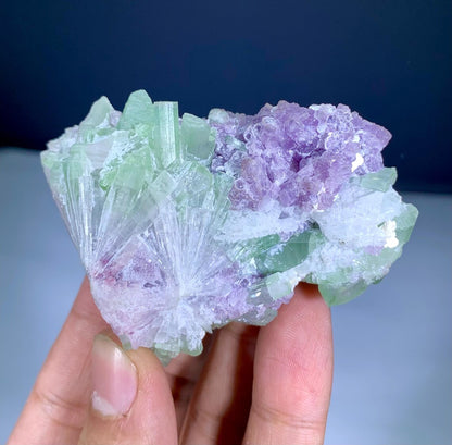 Bicolor Tourmaline Cluster on Lepidolite from Afghanistan - 116 gram