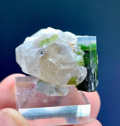 Blue Cap Tourmaline Crystal on Quartz from Paprok Afghanistan - 25 gram