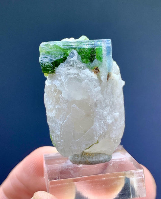 Blue Cap Tourmaline Crystal on Quartz from Paprok Afghanistan - 25 gram