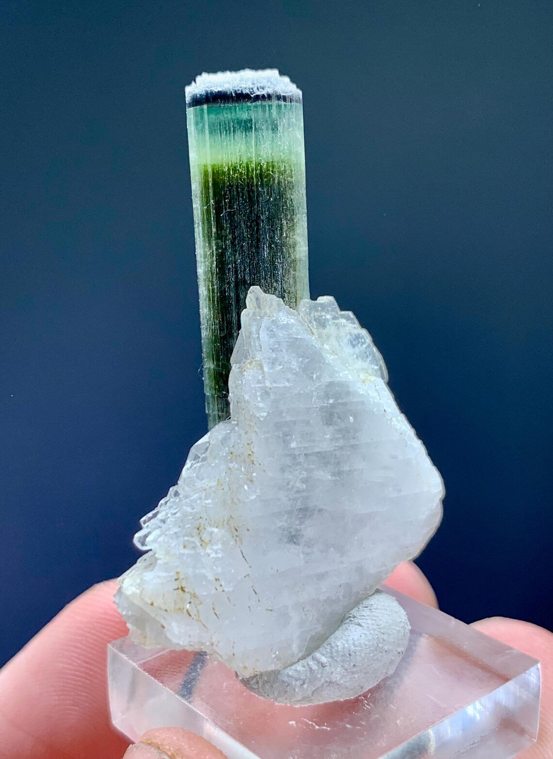 Tourmaline on Albite from Pakistan - 12 gram