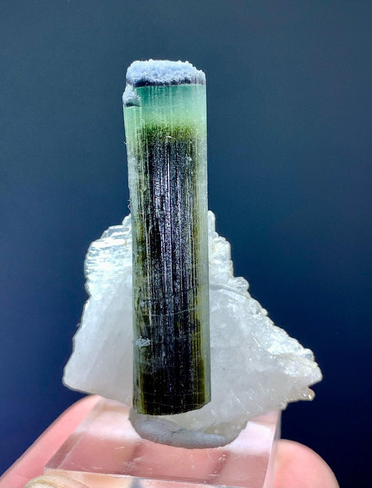 Tourmaline on Albite from Pakistan - 12 gram