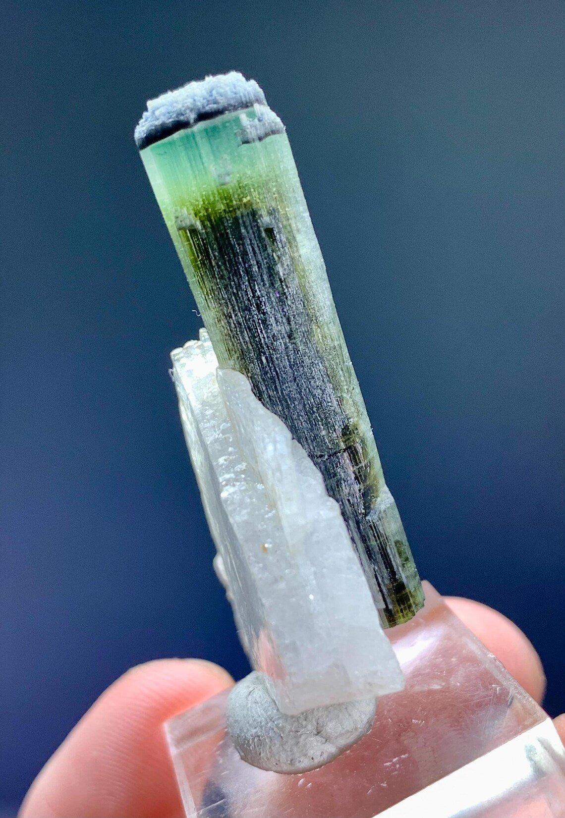 Tourmaline on Albite from Pakistan - 12 gram