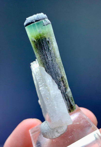 Tourmaline on Albite from Pakistan - 12 gram