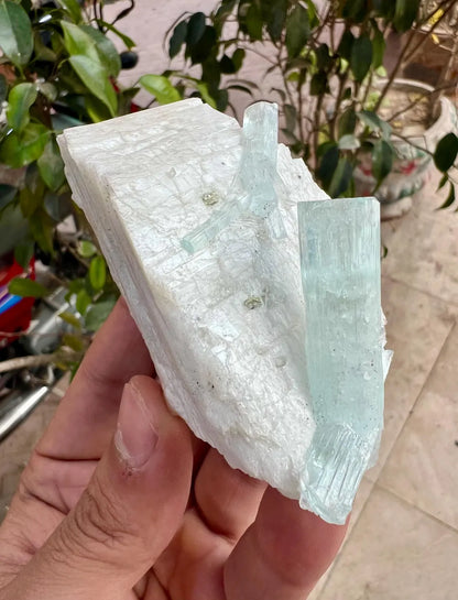 Aquamarine Crystals on Feldspar from Shigar valley Pakistan - 147 gram