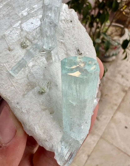 Aquamarine Crystals on Feldspar from Shigar valley Pakistan - 147 gram