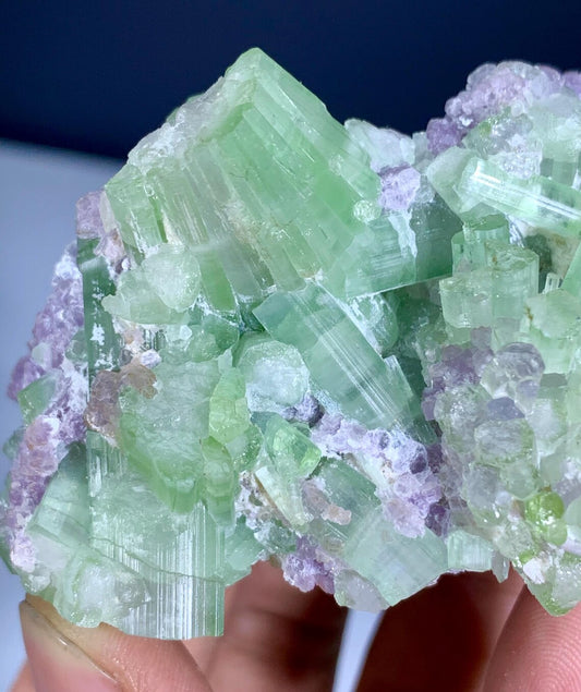 Bicolor Tourmaline Cluster on Lepidolite from Afghanistan - 116 gram