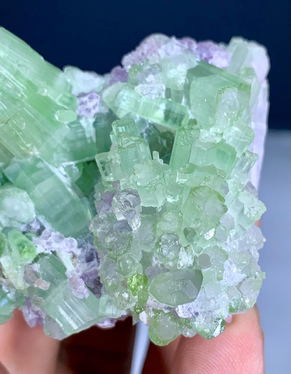 Bicolor Tourmaline Cluster on Lepidolite from Afghanistan - 116 gram