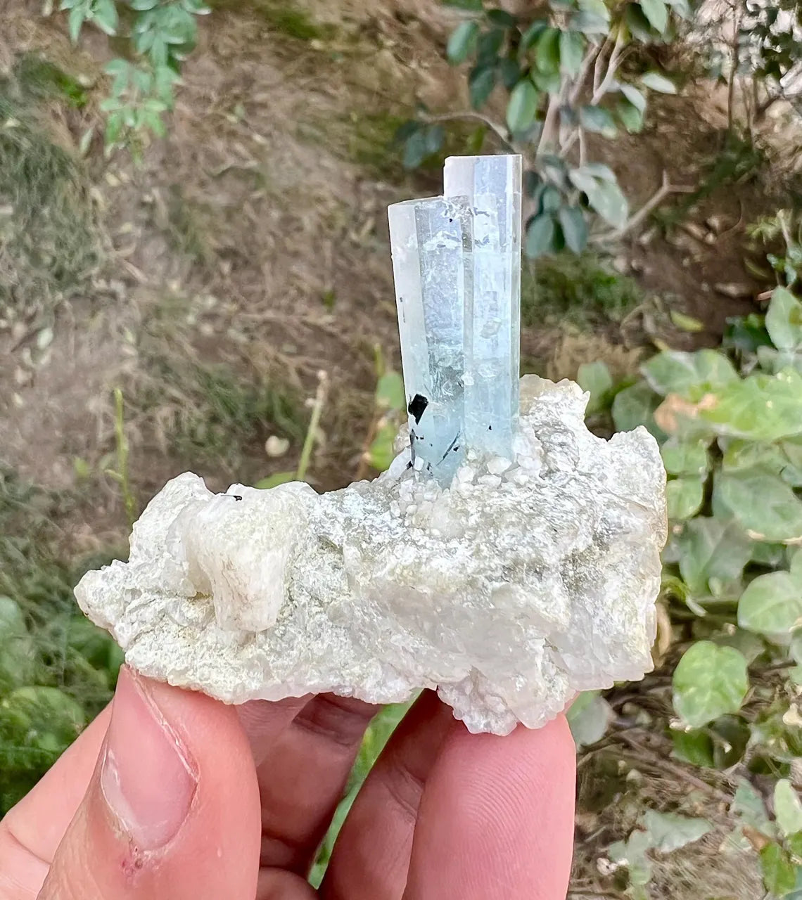 Aquamarine with Schorl on Albite (Repaired) Aquamarine Specimen from Pakistan - 43 gram