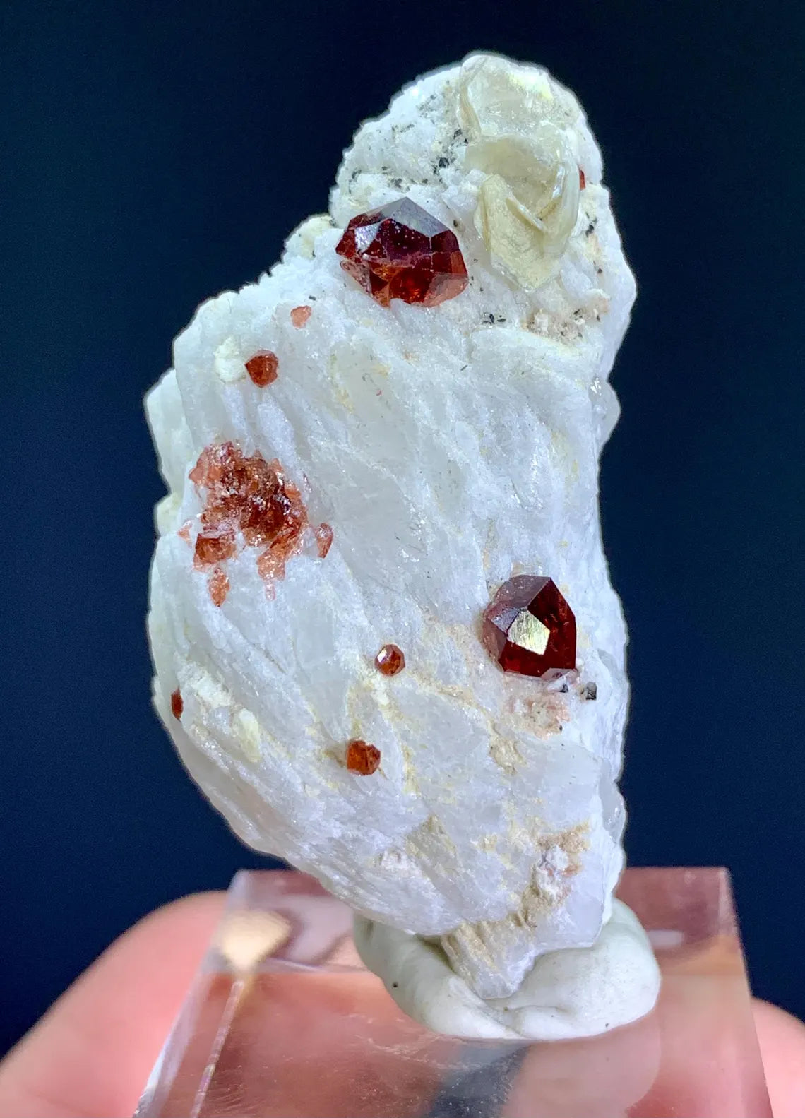 Garnet Crystals on Albite Matrix from Skardu Pakistan - 17 gram