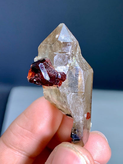 Garnet on Smoky Quartz from Skardu Pakistan - 18 gram