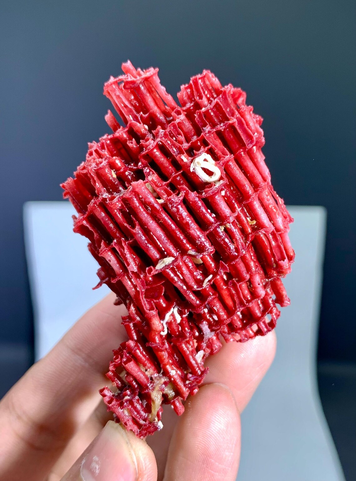 Red Coral Specimen - 17 gram