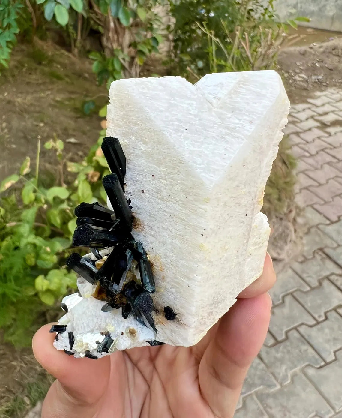 Tourmalines on Microcline Feldspar from Pakistan - 186 gram