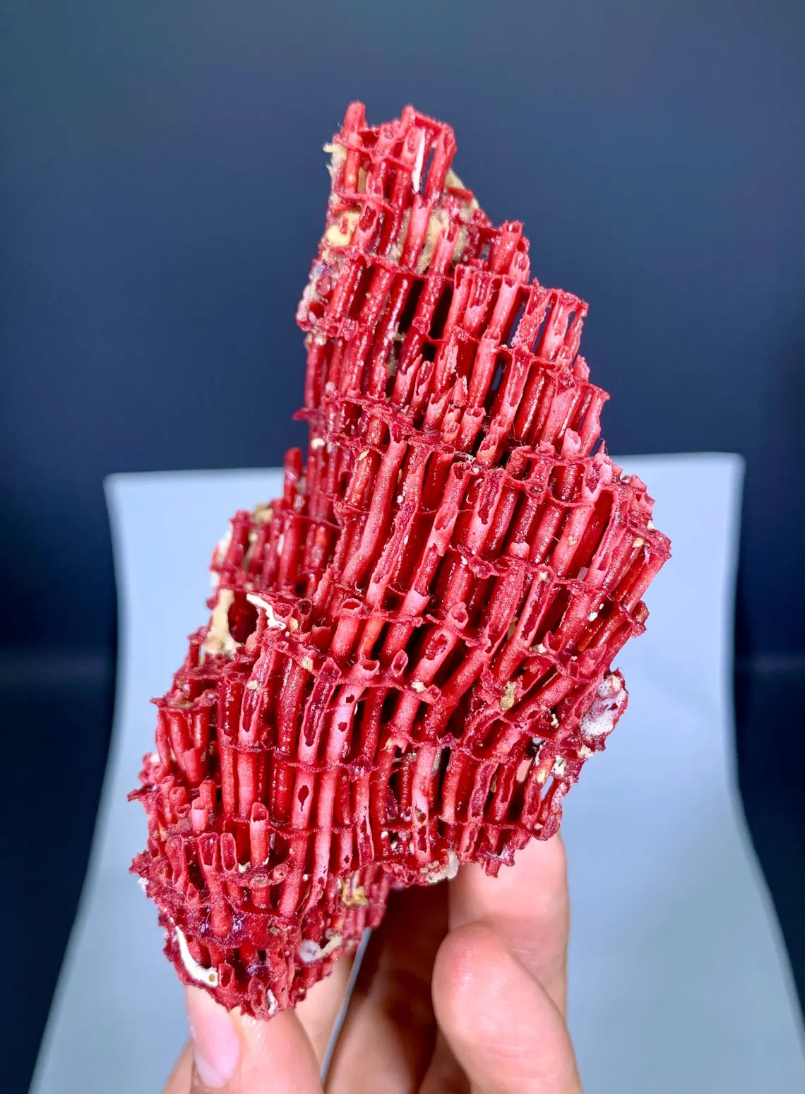 Natural Red Coral Specimen - 55 gram