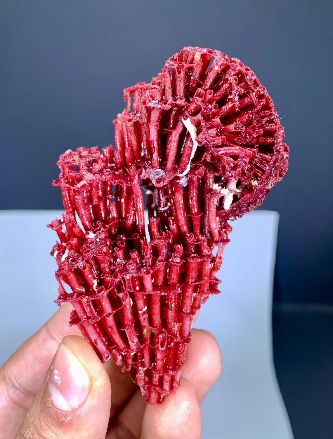 Unique Shape Red Coral Specimen - 27 gram