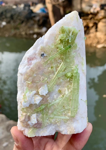 Tourmaline Cluster on Feldspar from Pakistan - 457 grams