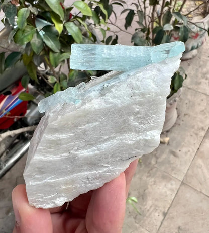 Aquamarine Crystals on Feldspar from Shigar valley Pakistan - 147 gram