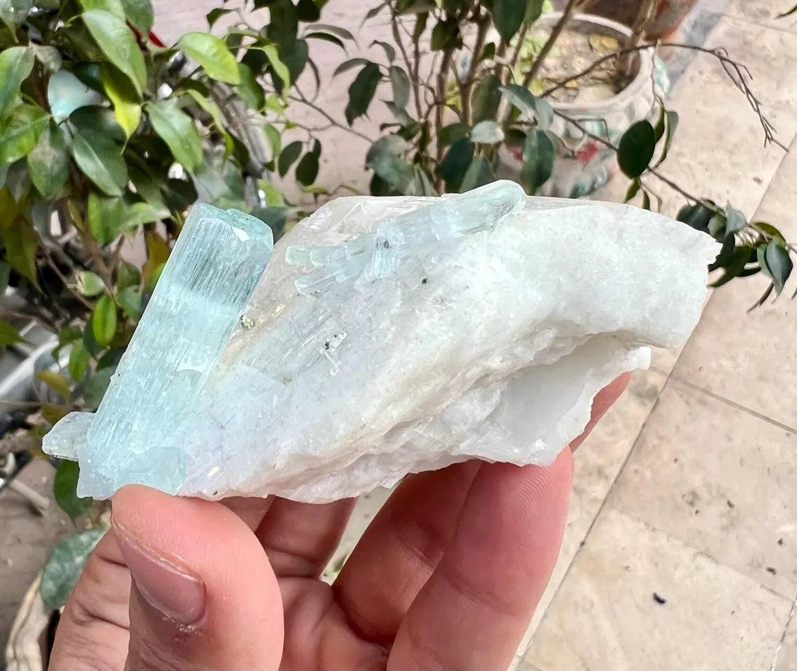 Aquamarine Crystals on Feldspar from Shigar valley Pakistan - 147 gram