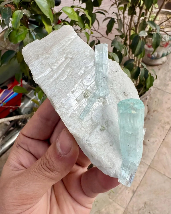 Aquamarine Crystals on Feldspar from Shigar valley Pakistan - 147 gram