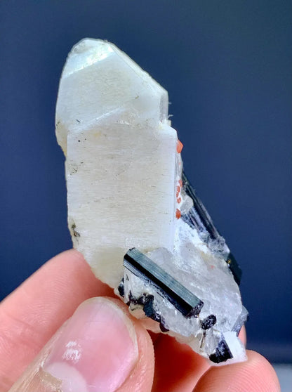 Garnet on Feldsapr, Schorl and Quartz from Pakistan - 28 gram