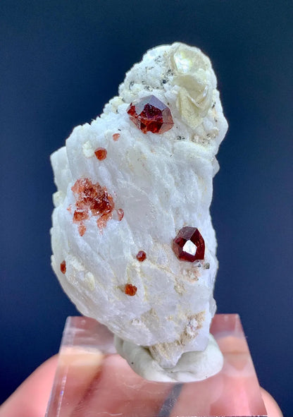 Garnet Crystals on Albite Matrix from Skardu Pakistan - 17 gram
