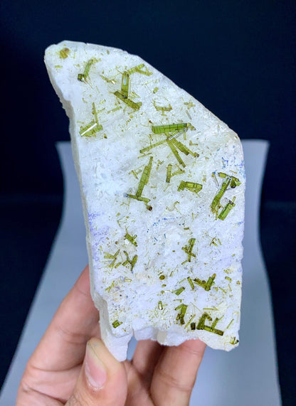 Tourmalines Perched on Feldspar from Pakistan - 433 gram