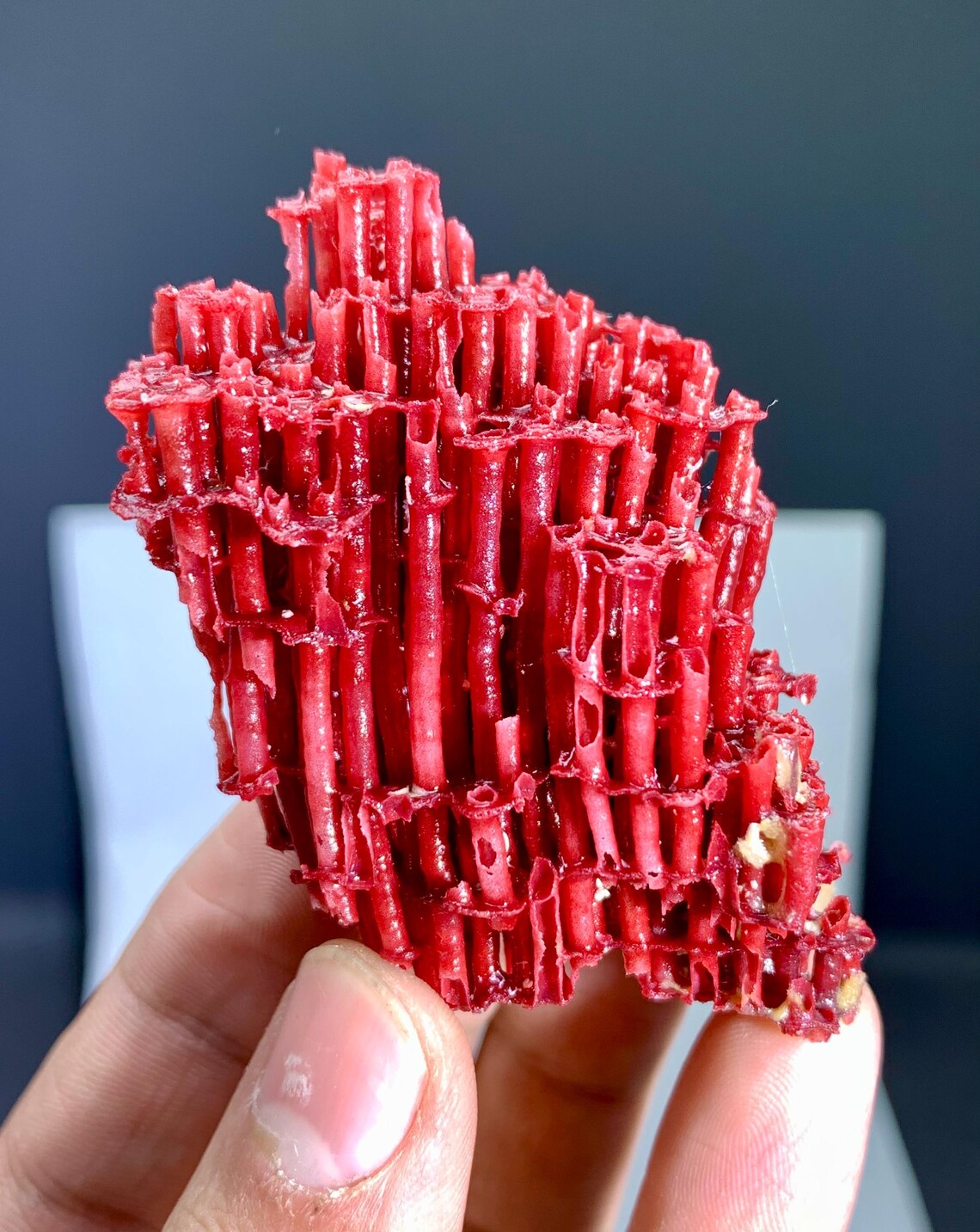 Red Coral Specimen - 17 gram