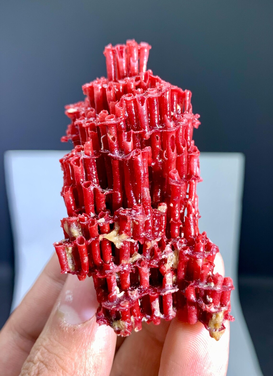 Red Coral Specimen - 17 gram