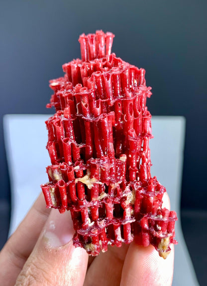 Red Coral Specimen - 17 gram