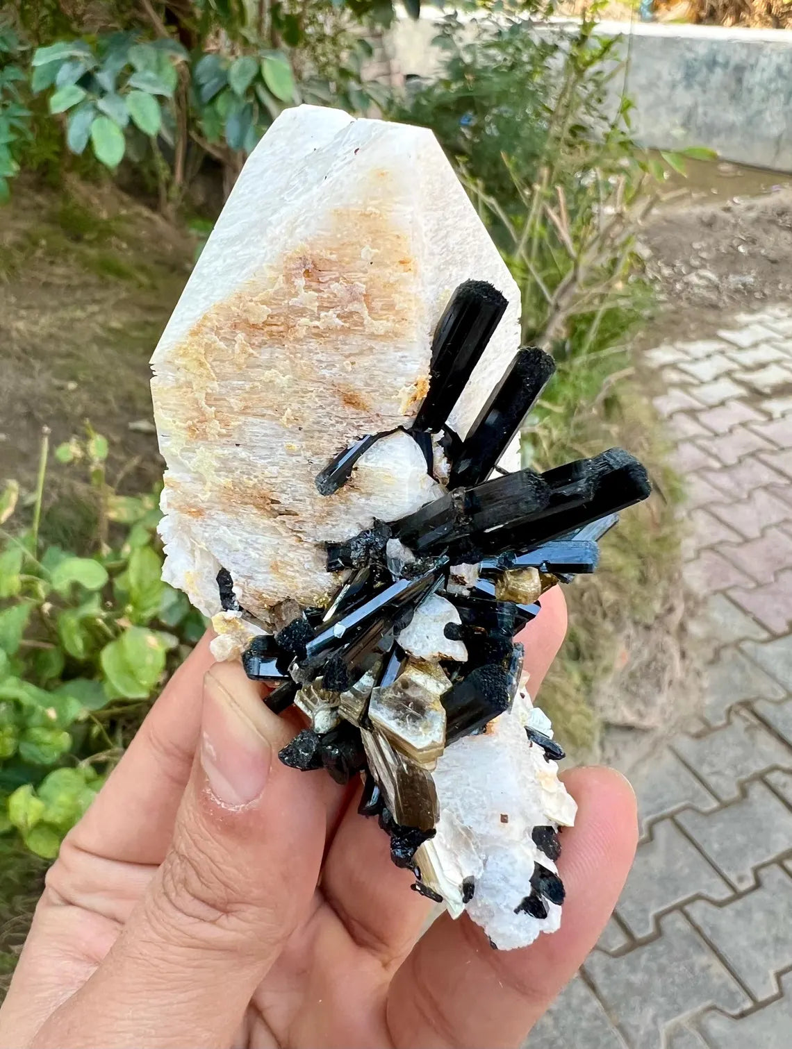 Tourmalines on Microcline Feldspar from Pakistan - 186 gram