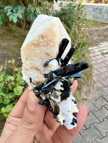 Tourmalines on Microcline Feldspar from Pakistan - 186 gram