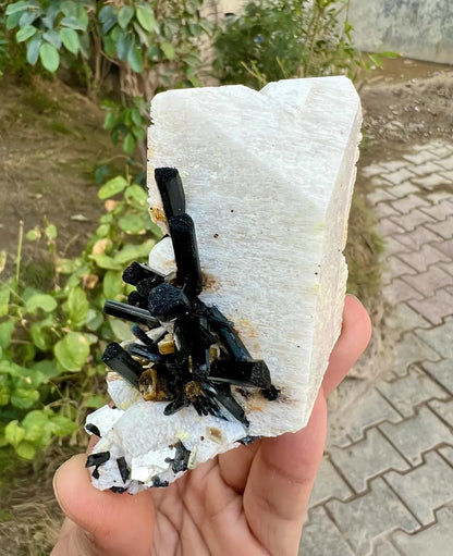 Tourmalines on Microcline Feldspar from Pakistan - 186 gram